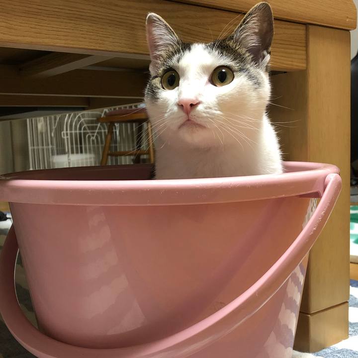 48c93755 1c34 4a2a 97d3 f079960d4ada 1589283937970