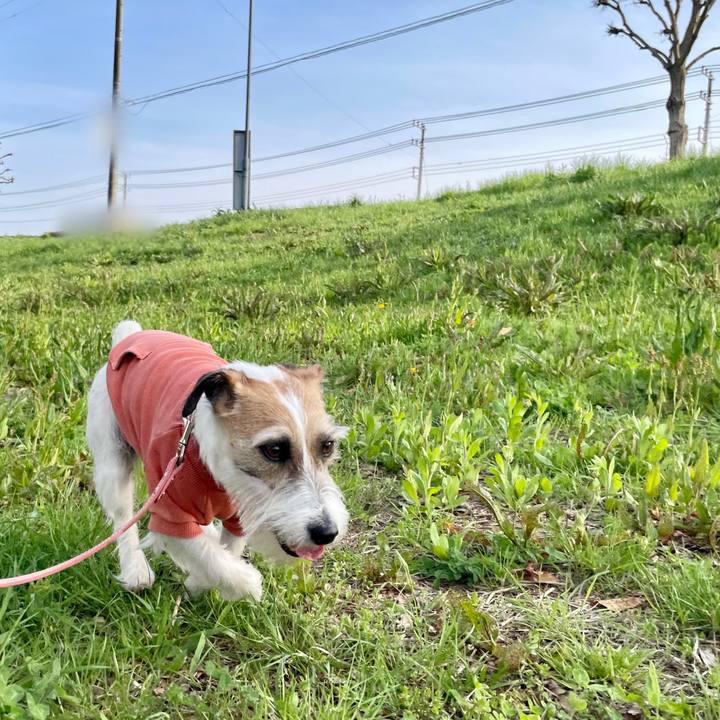 48c94fe3 d4fb 41e9 a241 70b1dfc95ddf 1649663831366