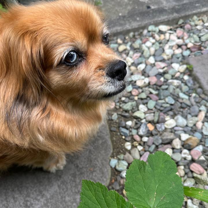 48c95b00 1611 4269 be47 82dd4475ee18 1748466156986