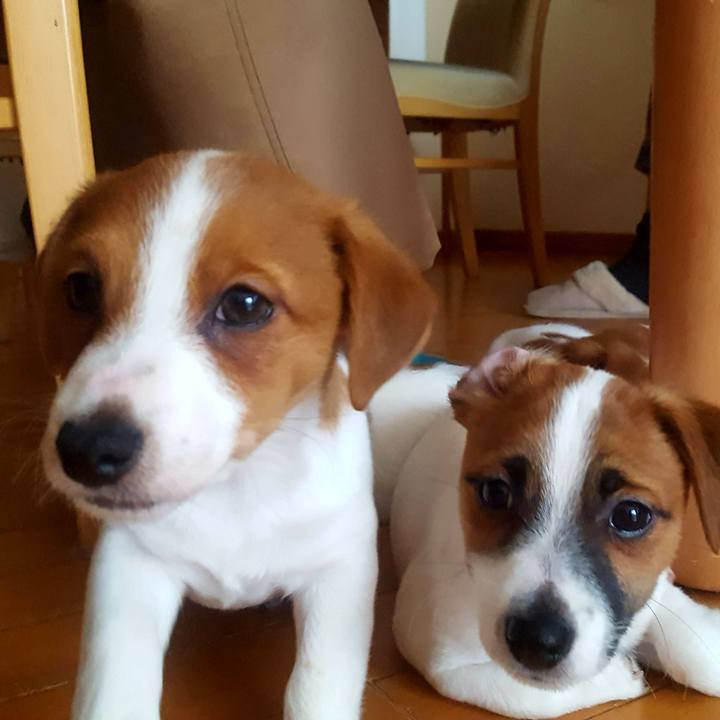 48c99a9d 1498 4fb5 a57d 5ee724d128c7 1580641102463