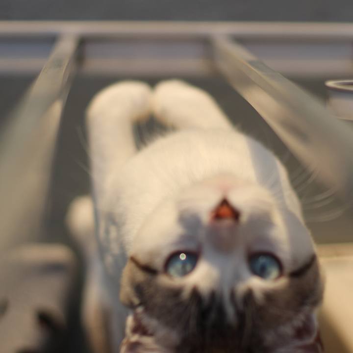 48c99b9c e57b 4548 9335 29acc31d8f07 1634466545288