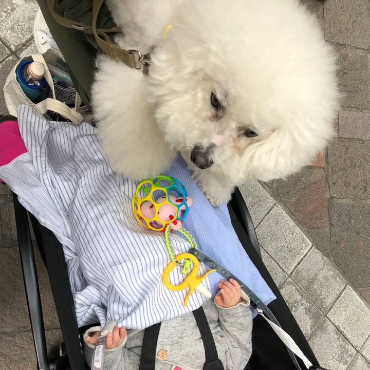 48c9fa55 e9f1 457c 94d2 670b060fb7d1 1555756581726