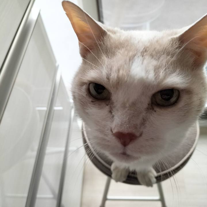 48ca6a37 dae3 4b69 8551 165958ff48ee 1709508952094