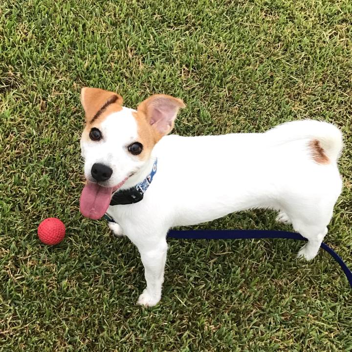 48ca8cb0 5511 4b05 82a9 6634aae98a8e 1569067537013