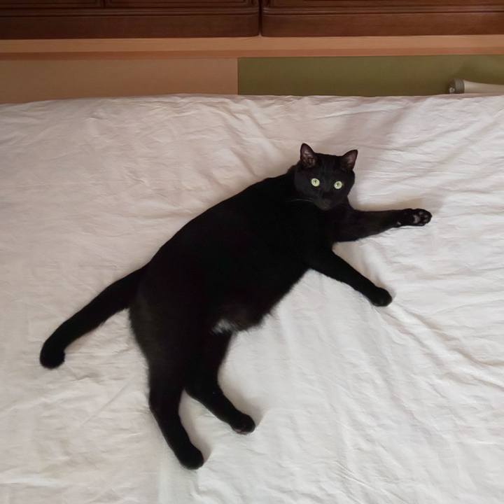 48cab691 de02 49d2 9493 20c75d198e49 1572675319477