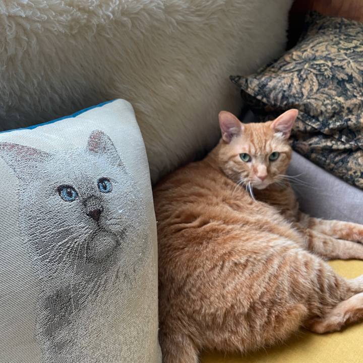 48cad102 a4a2 408c 9dbe 0add51f903b4 1722861119198