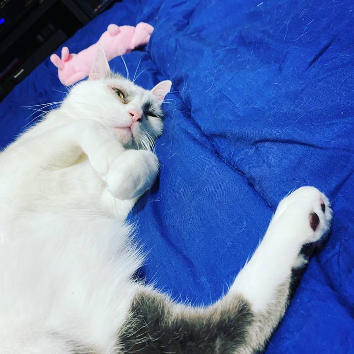 48cae7e9 5e76 4e52 940c c3959f8bd235 1619588275370