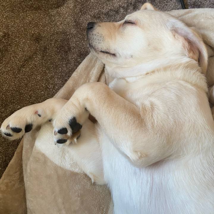 48caef80 3373 4a0a 84dc 14b4f578d9c3 1614042247477