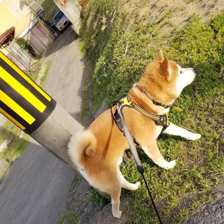 48caf512 855c 44ca ad20 8c231fe4c84b 1617177094587