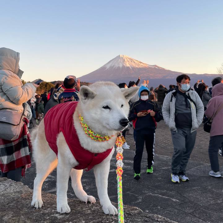 48caf7e1 77aa 43ce a984 79f2d9d0db7b 1640991959688