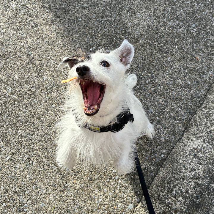 48cb48d9 b26f 4fbe a9d4 d3579d537692 1759704785364