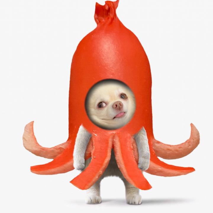 48cb4969 4a59 498d bdbf 836153454d26 1730716151536