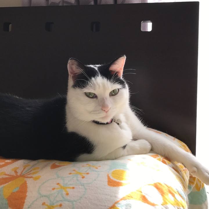 48cb4bdd 581f 4175 9a69 0a9e5e458983 1520597018799