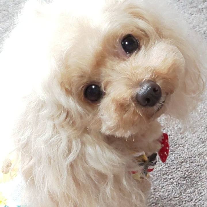 48cb692e d496 4153 842c dbdf8bd847c0 1593862682860