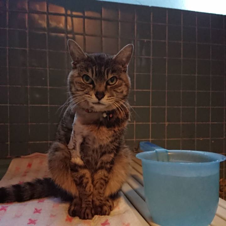 48cb994c fab4 4599 b245 81c6da11caca 1589016879752