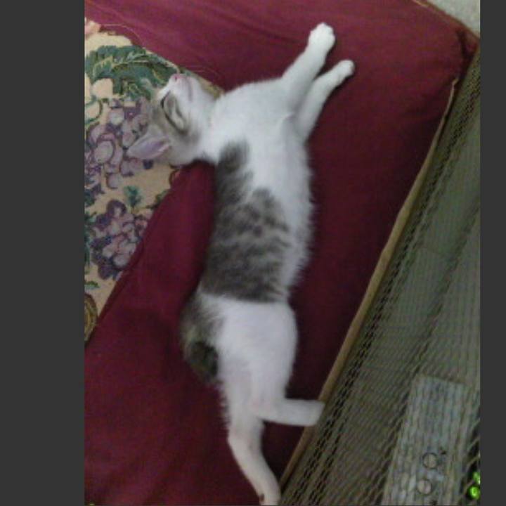 48cbaa00 dc0e 43d2 bb94 05743861b76b 1550401726685