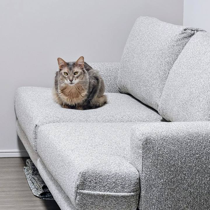 48cbaac5 8211 429a 8889 6a4ff7ee190e 1748397443585