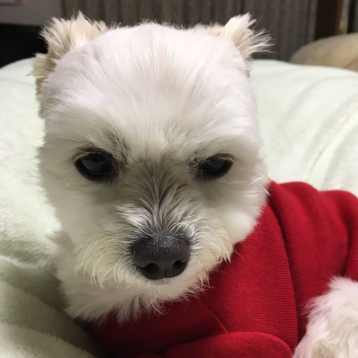 48cbe56b 4cae 4a36 ab8c 7ce87c1e10f5 1552565061650