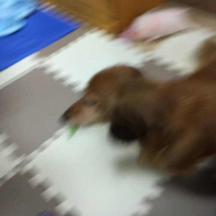 48cc171a f190 4037 9078 82963d066c73 1566483170210