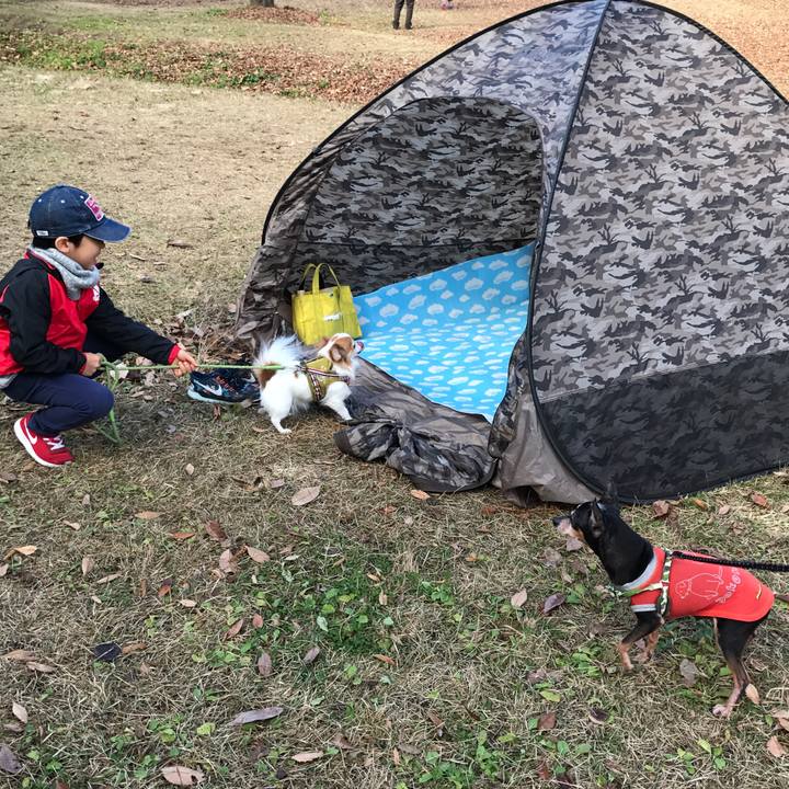 48cc5d9e e5c7 4491 925c 494aa6551b99 1511674243246