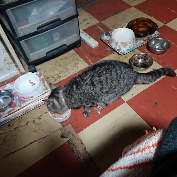 48cc5eb6 10ec 4804 8203 14e66030c8b2 1585600682242