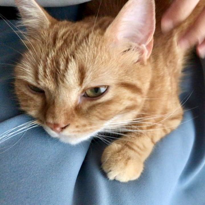 48cc69e6 d5e5 49a0 8a7d 9dee0f09f0c8 1533883734571