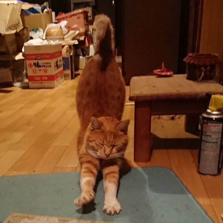 48cc7317 a152 4f4c a7fd af652fee7c89 1571823697616