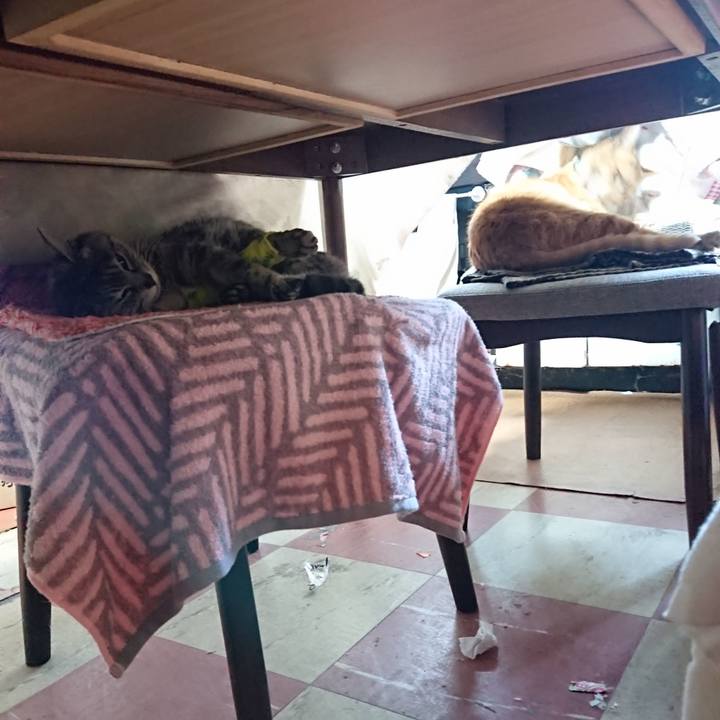 48cc7e28 107a 45ee 8107 184bb8020726 1586417250822