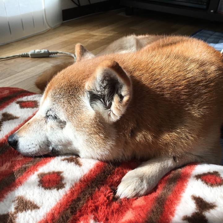 48ccc1f2 e13c 43ca 823a 5e85ca75310f 1515636497343