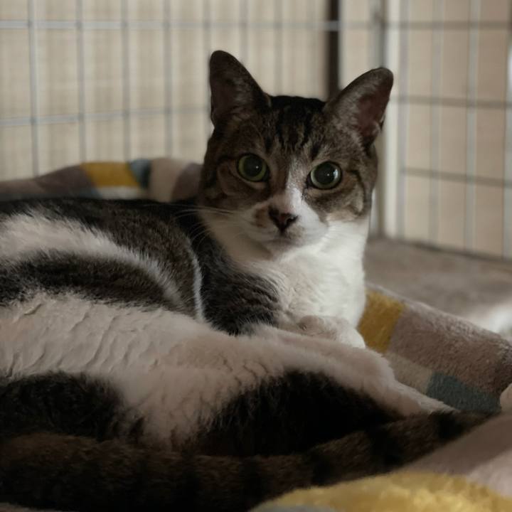 48cd148d 0c7f 490d 809b c5b764175045 1630632354630