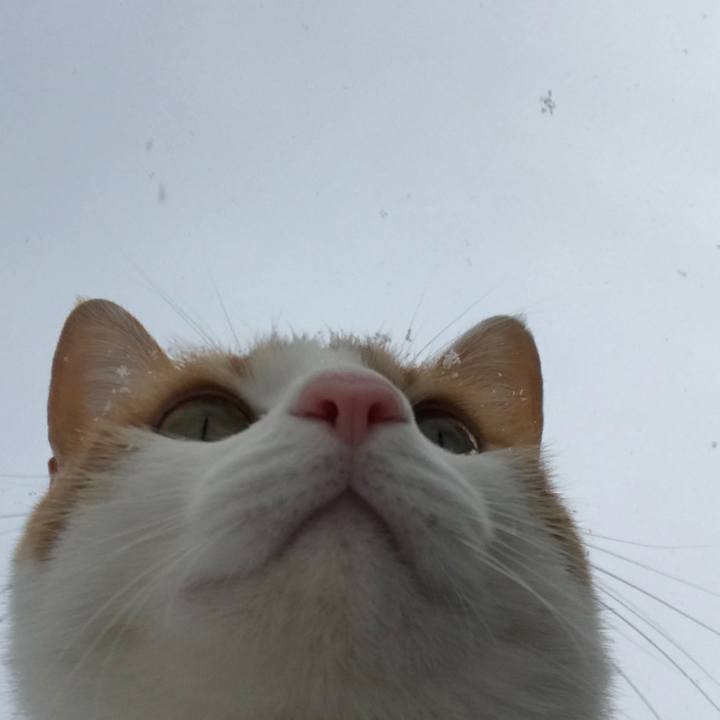 48cd3a4a 2d4e 4a1b b0f1 bf8f4c121049 1514942990771