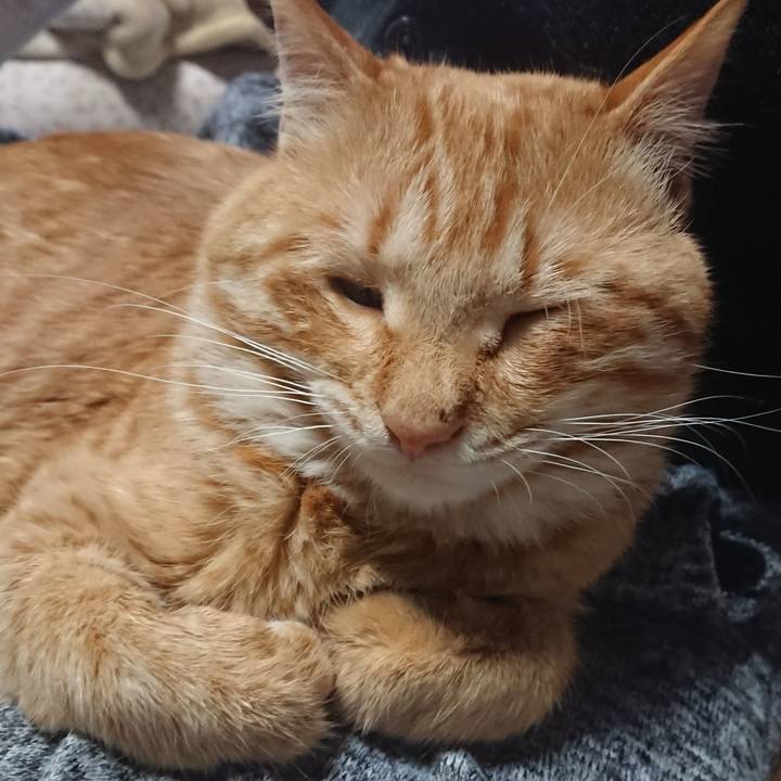 48cd3dfd d992 4827 8a13 a2e5e9603523 1649921041701