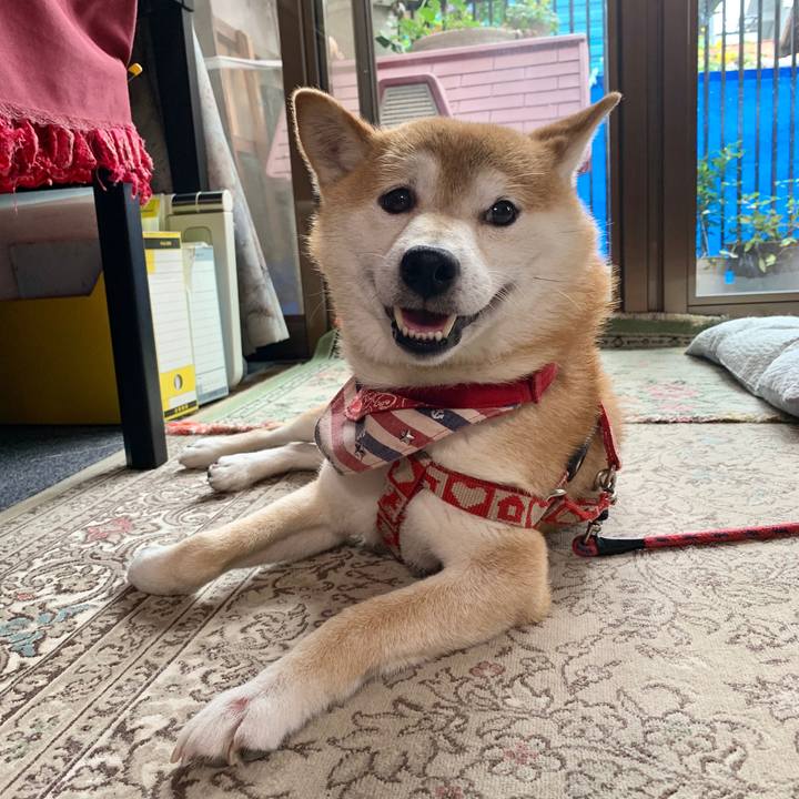 48cd602b 8b01 4a30 9230 a6637d5cc254 1595846308322