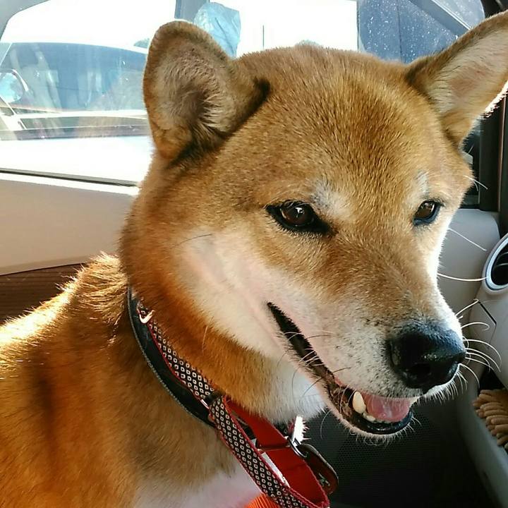 48cd660d 5da2 4efc 9444 d84fc7cc490d 1570597336219