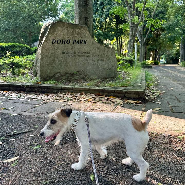 48cdcb46 d42d 4716 aad4 855de9b694fc 1715442836643