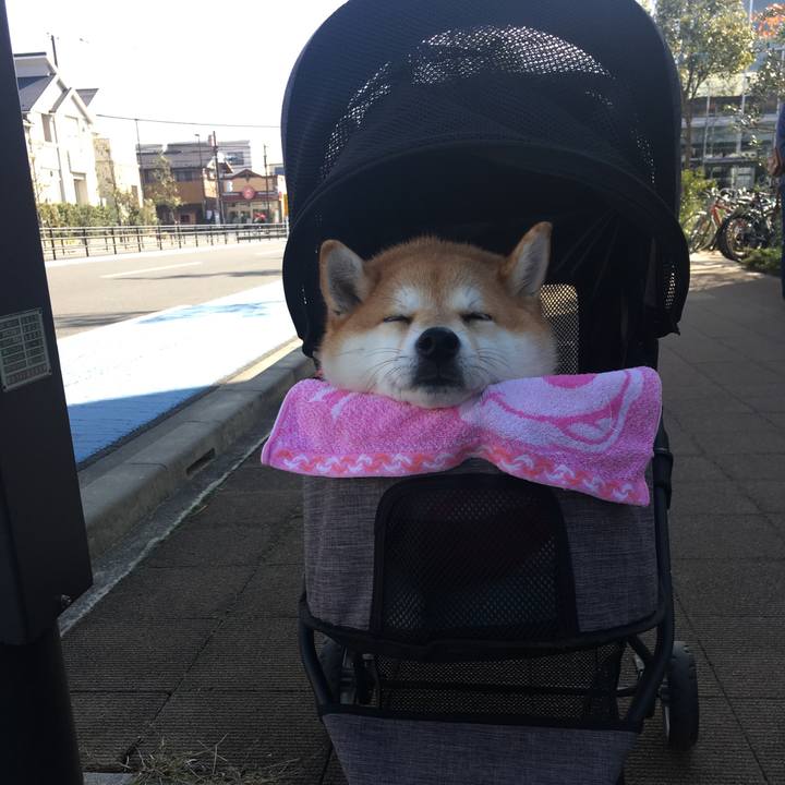 48cdde5c f598 4805 93c2 63a7a9f66f7a 1575196709326