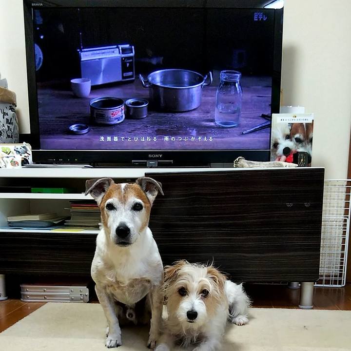 48cdf4c6 09d9 4545 ac82 c6705384d9cc 1561673205453