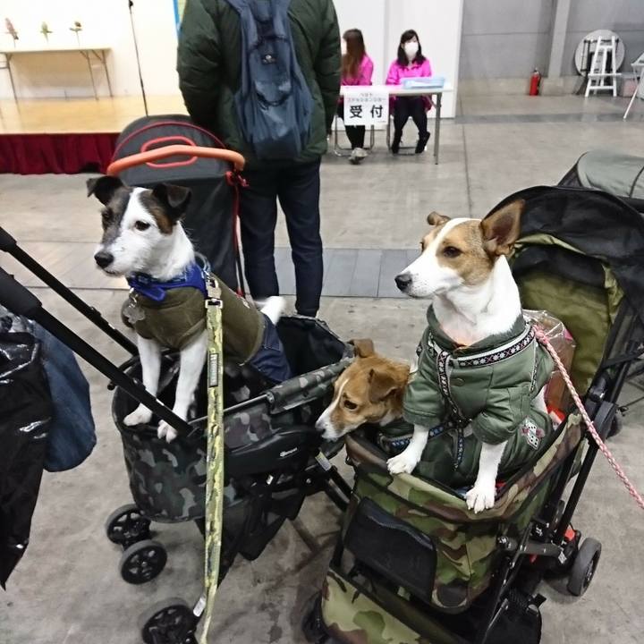 48ce29f3 8185 46b0 bbb4 db01a874b25b 1515202496069