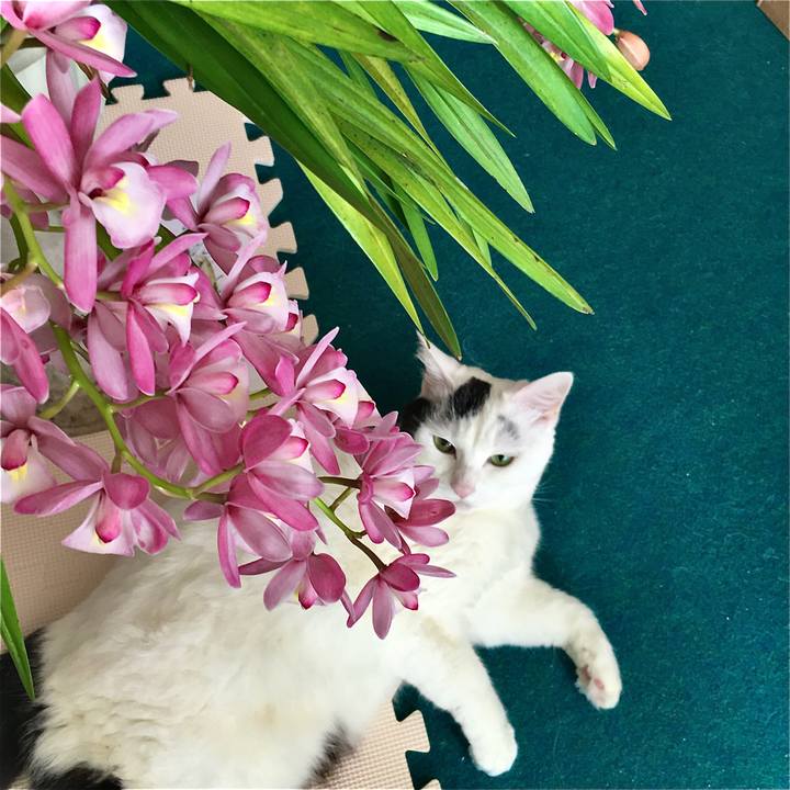 48ce46f9 f5f6 465c 9311 c086a80d89b3 1616142474559