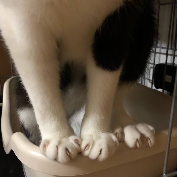 48ce5bab 8bc9 44da 9e4f e3859ec0877d 1555012619401