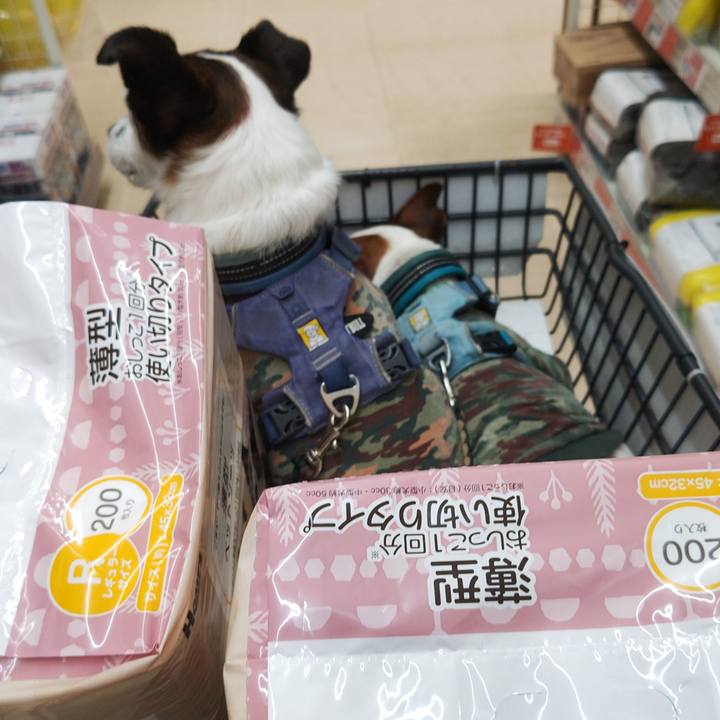 48ce5e4d 0231 43d5 8975 ea500db7d8ad 1759572744567