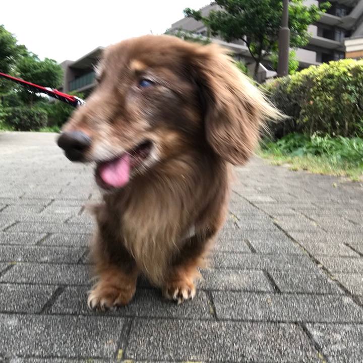 48ce7286 deb3 46de b3d6 aa49b5f272e1 1530746069851