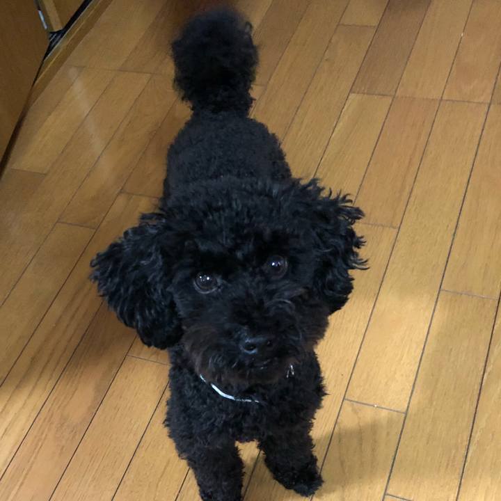 48ce78a5 069a 4c94 858b 99a340d341b3 1511516245306