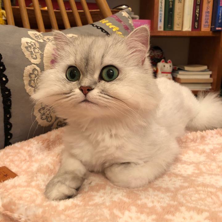 48ce7c35 84c0 47b0 9a39 f2044be657ea 1525955942522