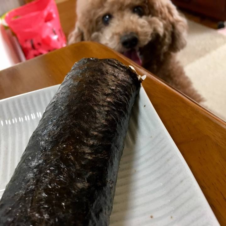 48cec0c2 afc8 4c85 9d2f cba88db4aa3f 1549201992063