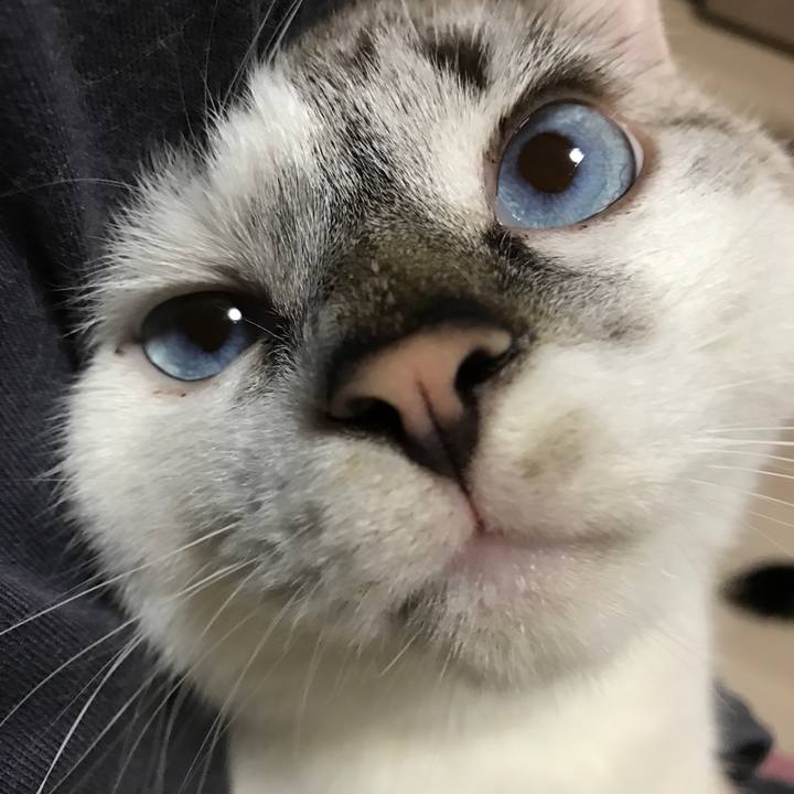 48cf21cb 9b44 4c3d 9bbe 825b91fce509 1508830324187