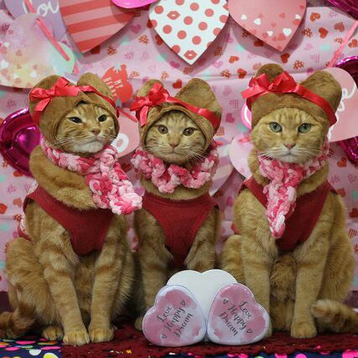 48cf27de 6863 4785 9e21 42ca8094d914 1550145152107