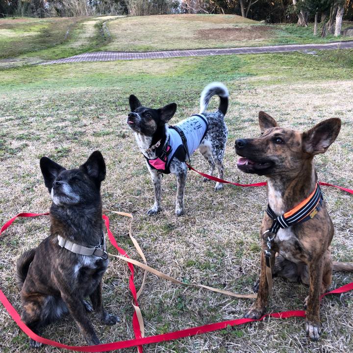 48cf33f9 504e 4a4b 8198 c354245ff21b 1582465388889