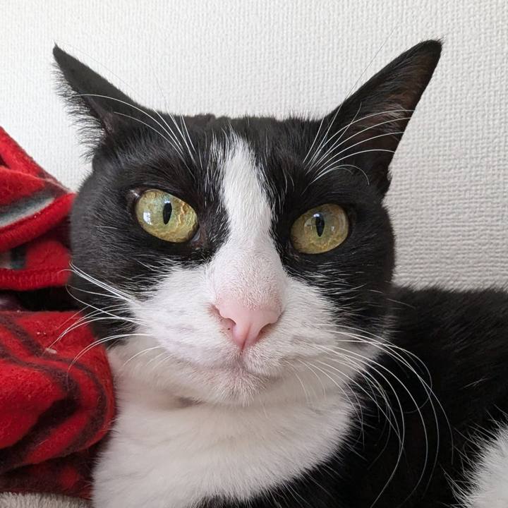 48cf62e6 c462 48c6 9502 db06a8f0f227 1728283397978