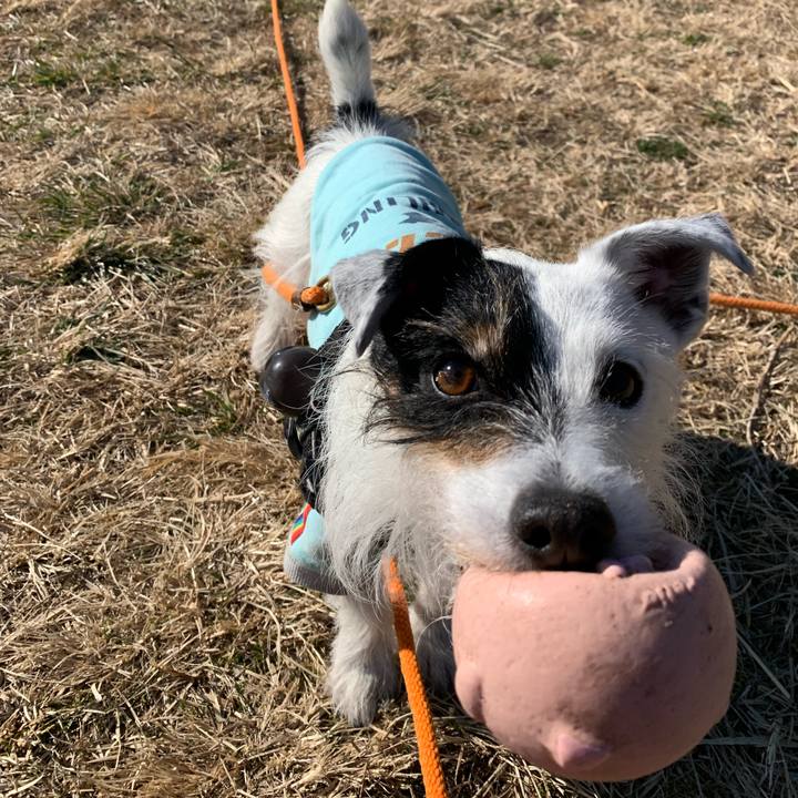 48cf7289 f4aa 47ed 8727 1bff4a195e8a 1707871532163